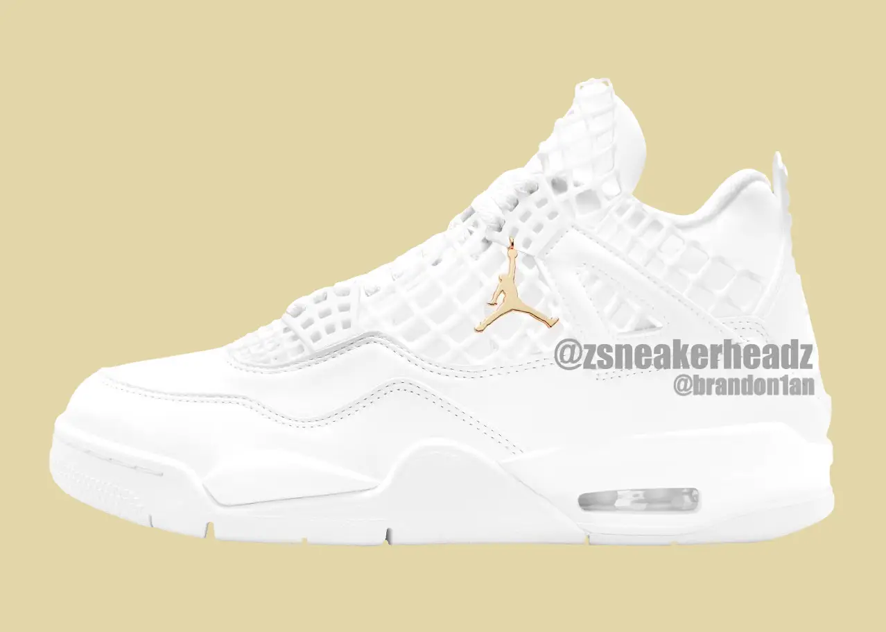 air jordan 4 wmns net FN7251-107