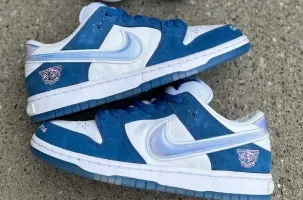 Born x Raised x Nike SB Dunk Low FN7819-400