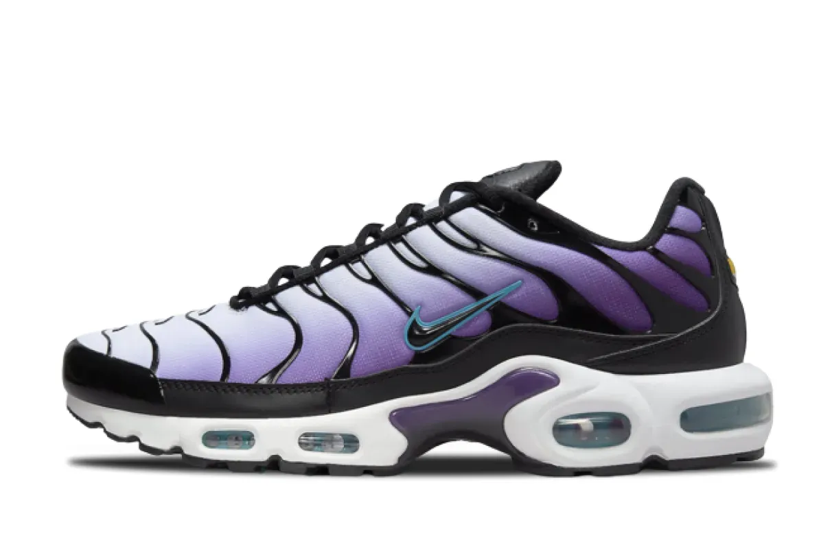 nike air max plus TN reverse grape FQ2415-500