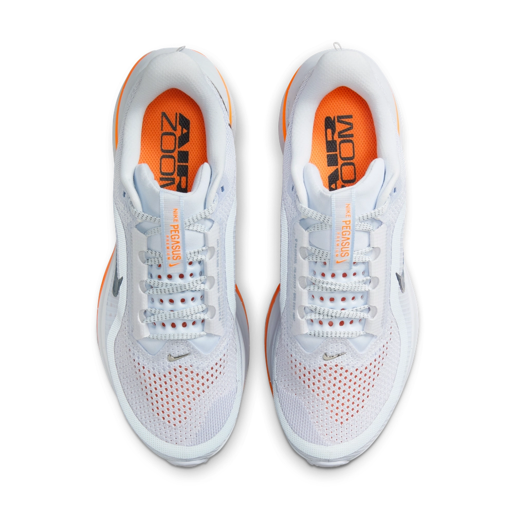 E6E6E6_Nike-Pegasus-PRM-WMNS_FOOTBALL-GREY_HQ2593-001_img3