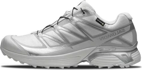 image de Salomon Xt Pathway Gtx Lunar Rock Alloy L47730900