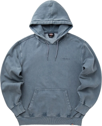 Image thumbnail Dickies Plentywhood Hoodie STORMY WEATHER DK0A866DG701 image