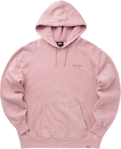 Image thumbnail Dickies Plentywhood Hoodie LILAS DK0A866DK391 image