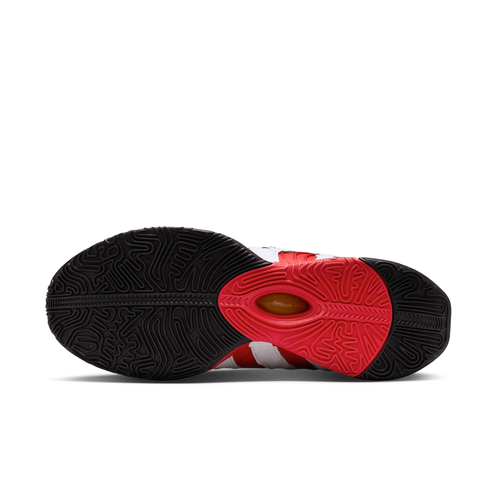 A51224_Nike-LeBron-21_PRIME-96_HV1221-100_img1