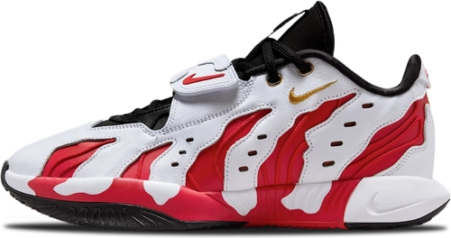 image de Nike Lebron 21 Prime 96 Hv1221 100
