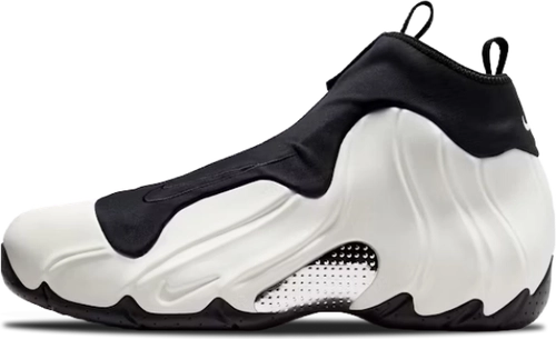 image de Nike Air Flightposite Sail Black Hj4481 100