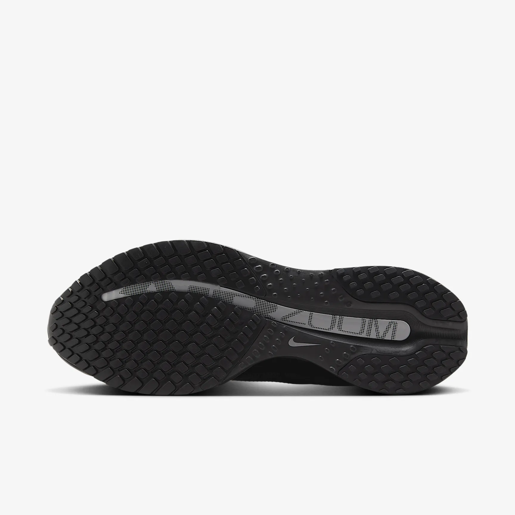 000000_Nike-Pegasus-Premium_BLACK-METALLIC-SILVER_HQ2592-005_img1
