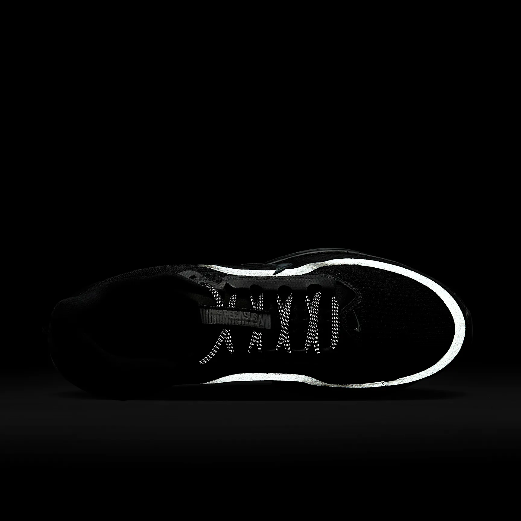 000000_Nike-Pegasus-Premium_BLACK-METALLIC-SILVER_HQ2592-005_img8