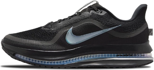 Image de Nike Pegasus Premium Black Metallic Silver Hq2592 005