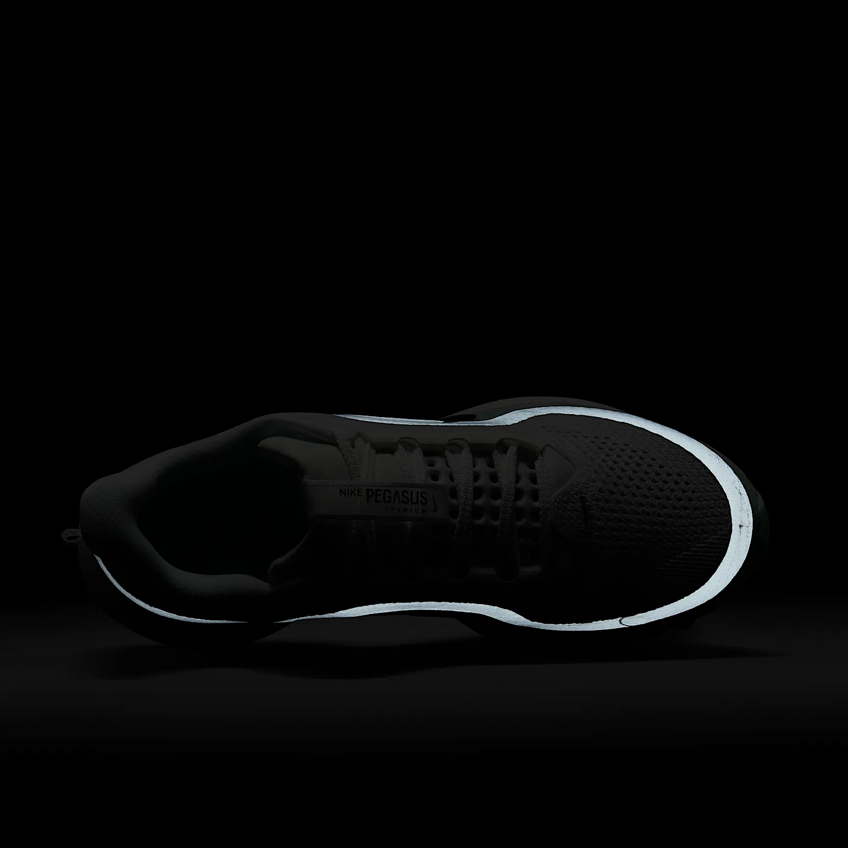 A9C7B6_Nike-Pegasus-Premium-WMNS_WHITE-MINT-FOAM_HQ2593-103_img8