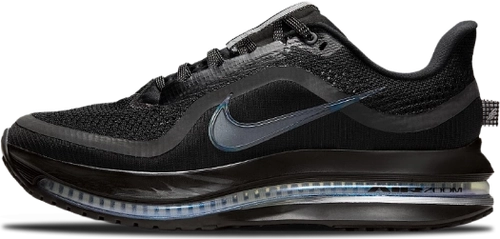 Image de Nike Pegasus Premium Wmns Black Metallic Silver Hq2593 004