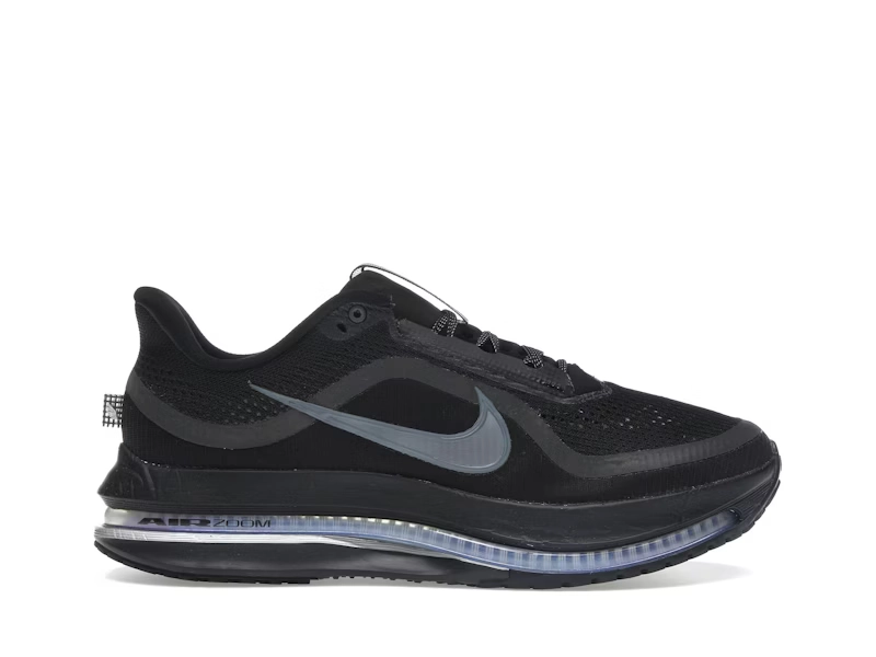 Nike Pegasus Premium WMNS BLACK METALLIC SILVER - view 0