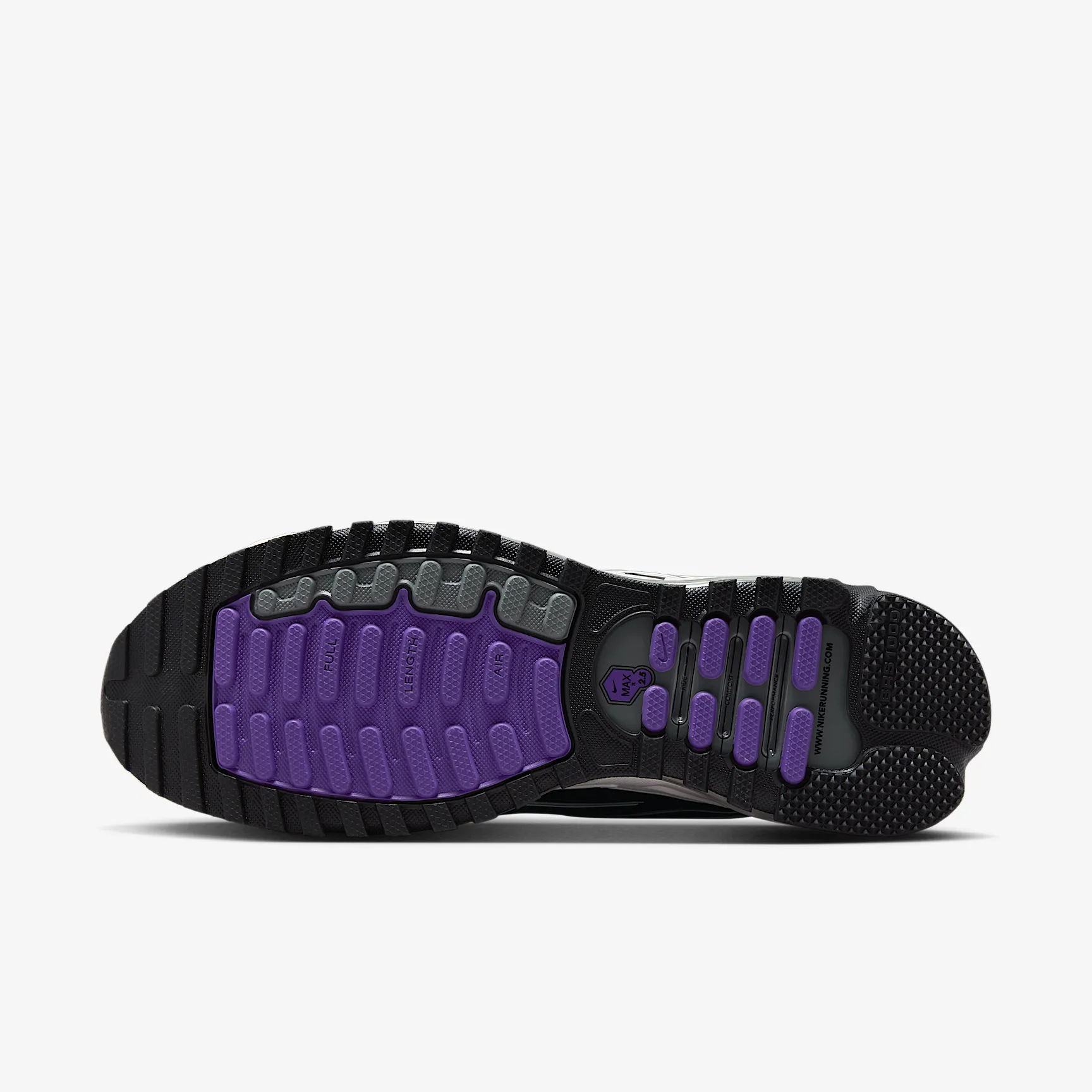 4C3469_Nike-Air-Max-TL-2.5_WILD-GRAPE_FZ4110-105_img1