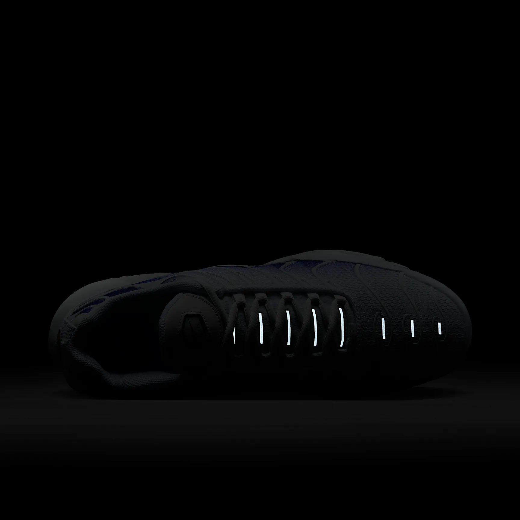 5450AB_Nike-Air-Max-Plus_WILD-GRAPE_DM0032-105_img8