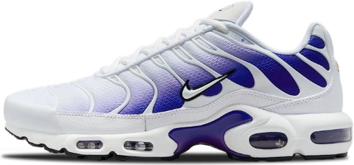 Nike Air Max Plus Wild Grape Dm0032 105