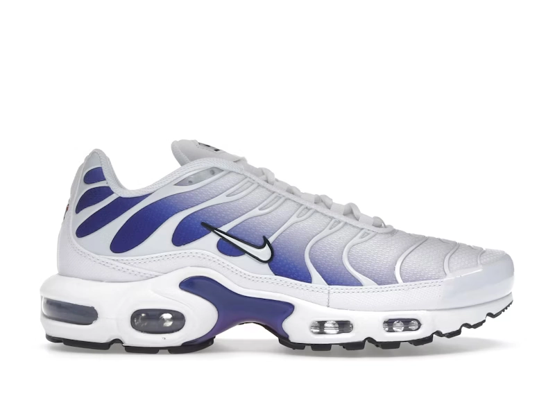 Nike Air Max Plus WILD GRAPE - view 0