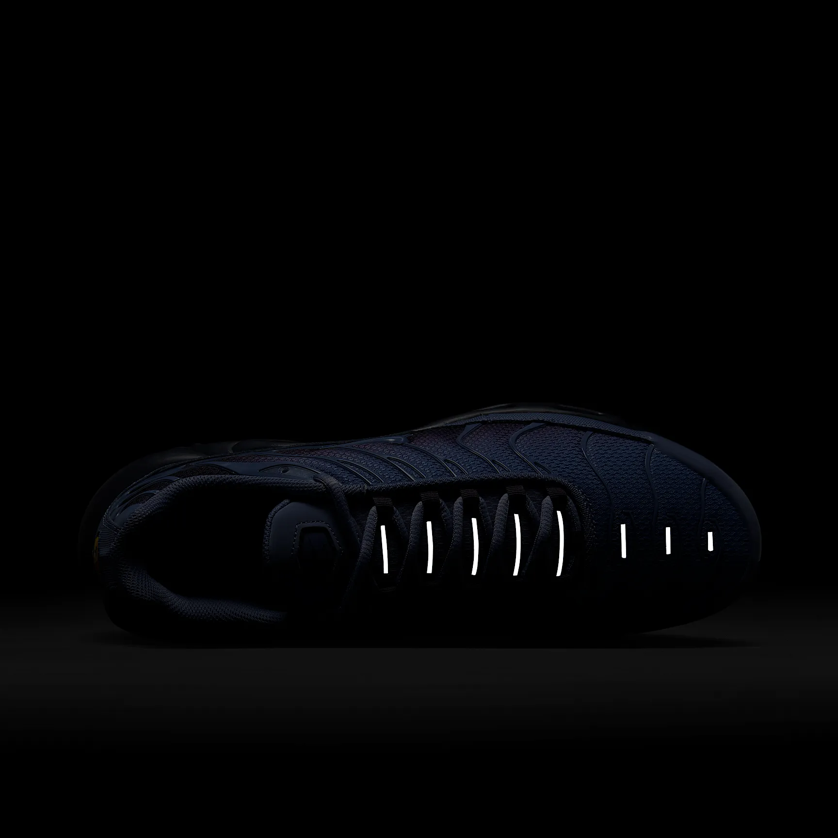 566294_Nike-Air-Max-Plus_WORLD-INDIGO_DM0032-404_img8