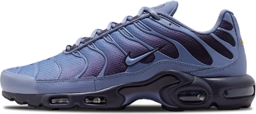 Nike Air Max Plus World Indigo Dm0032 404