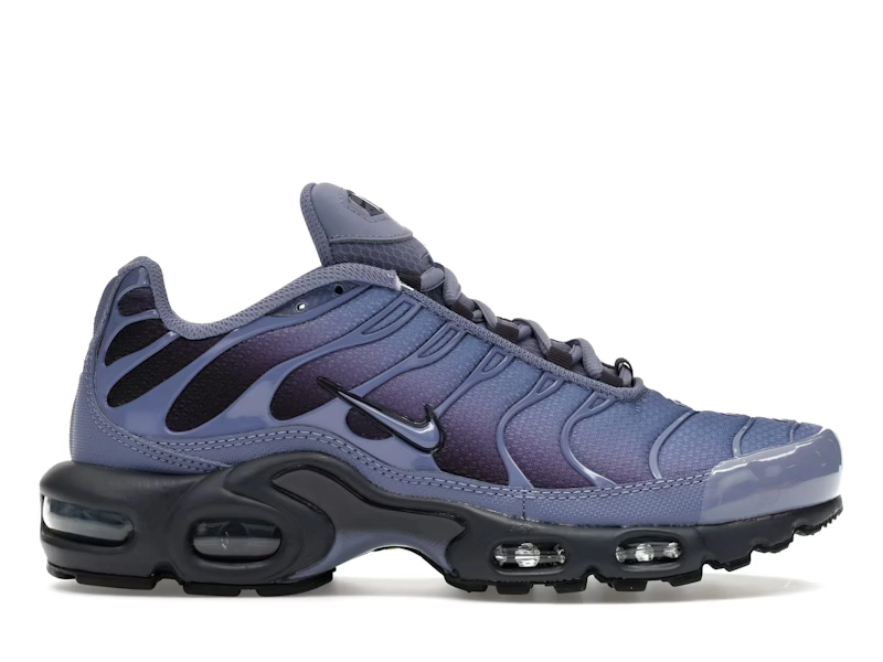 Nike Air Max Plus WORLD INDIGO - view 0