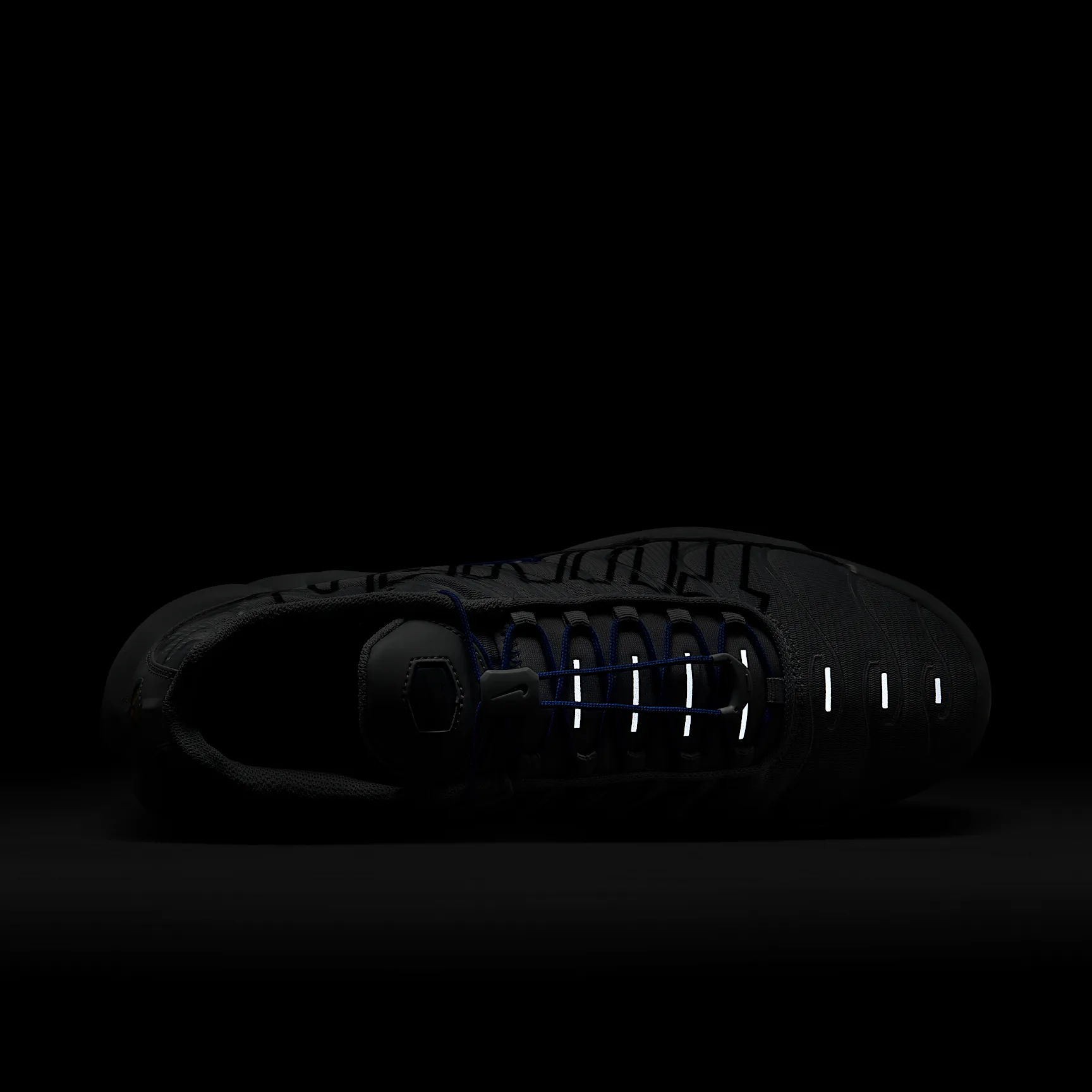 10349F_Nike-Air-Max-Plus_WOLF-GREY-RACER-BLUE_IH4459-025_img8