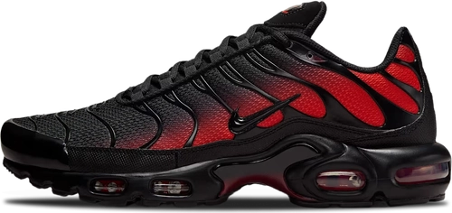 Nike Air Max Plus Gradient Bred Dm0032 021