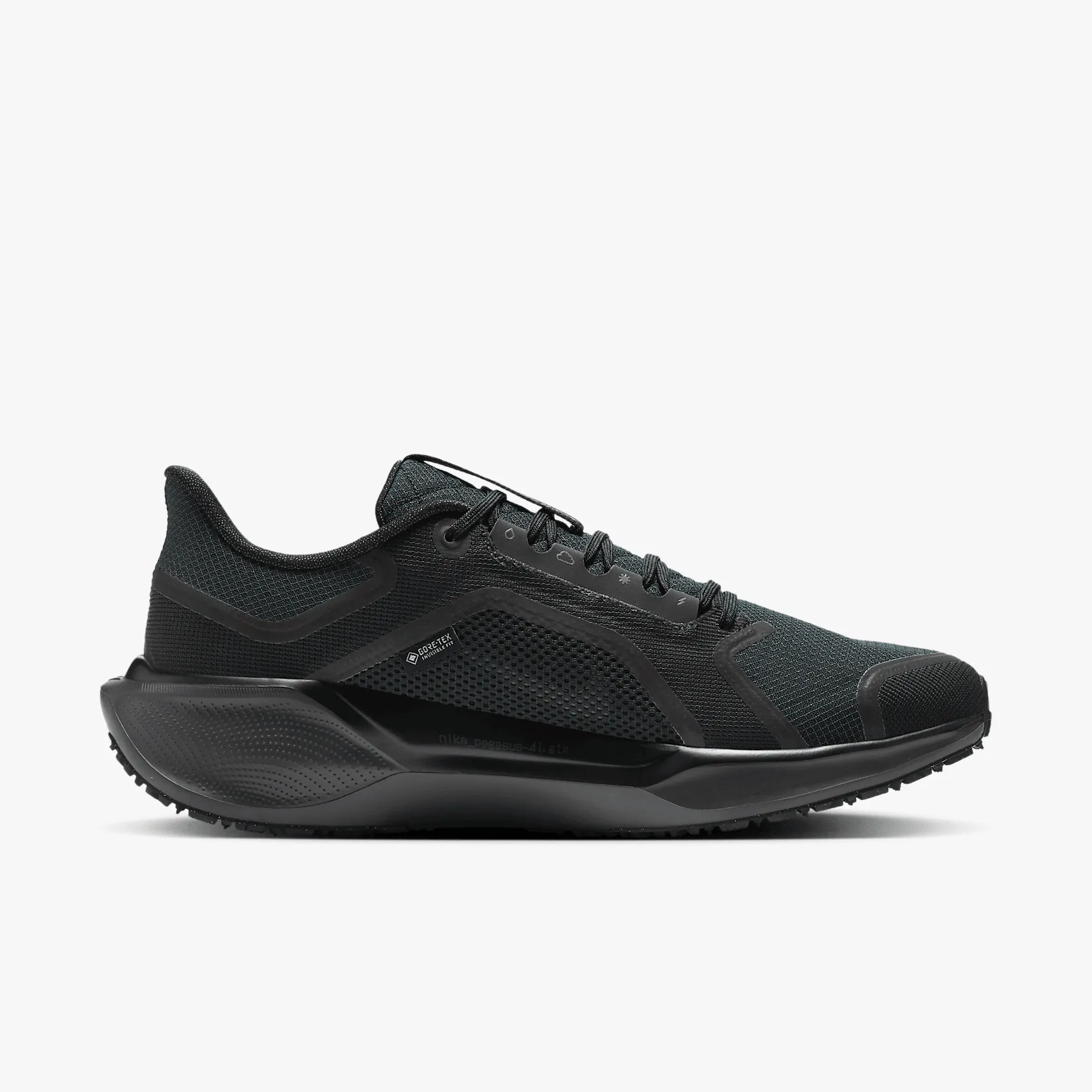 000000_Nike-Pegasus-41-Gore-Tex_BLACK-ANTHRACITE_FQ1356-001_img2