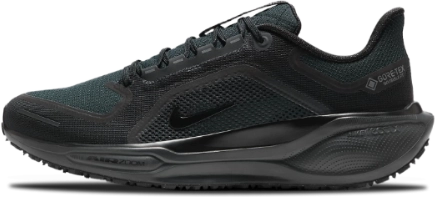 image de Nike Pegasus 41 Gore Tex Black Anthracite Fq1356 001