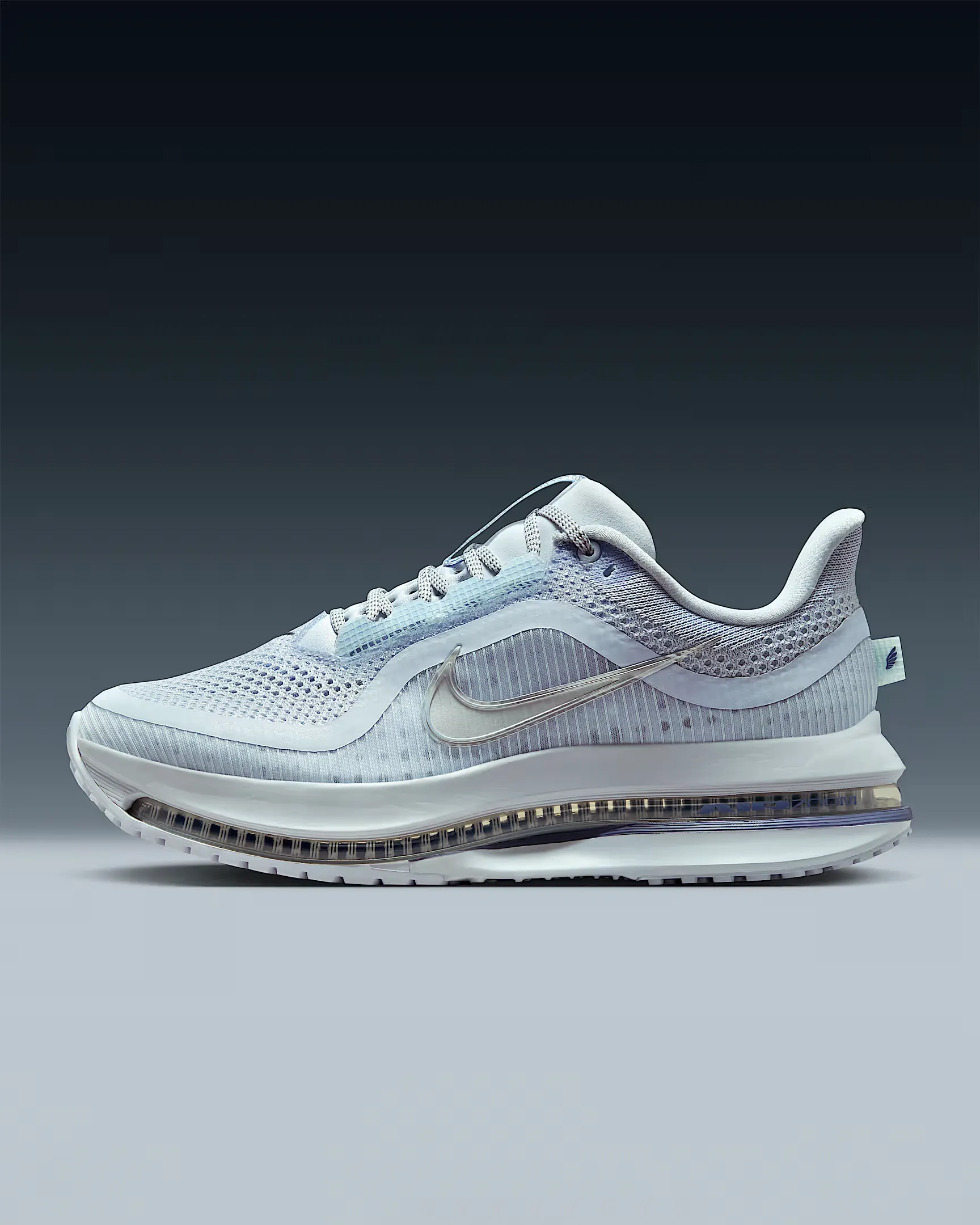 ABB0B4_Nike-Pegasus-Premium_FOOTBALL-GREY_HQ2593-006_img9