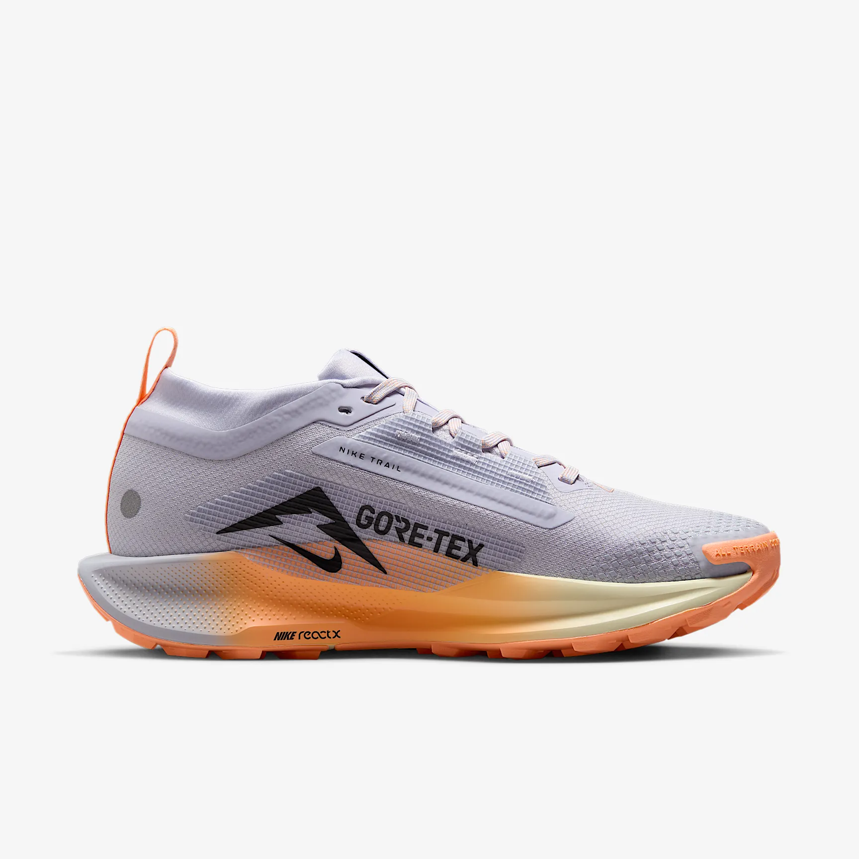 9FA2B8_Nike-Pegasus-Trail-5-Gore-Tex-WMNS_GHOST-MALT_FQ0912-011_img2