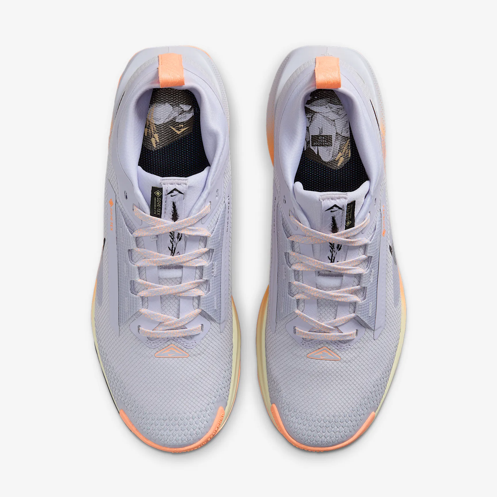 9FA2B8_Nike-Pegasus-Trail-5-Gore-Tex-WMNS_GHOST-MALT_FQ0912-011_img3