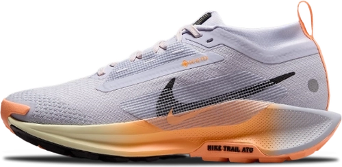 Nike Pegasus Trail 5 Gore Tex Wmns Ghost Malt Fq0912 011