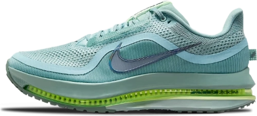 Image de Nike Pegasus Premium Cannon Hq2592 009