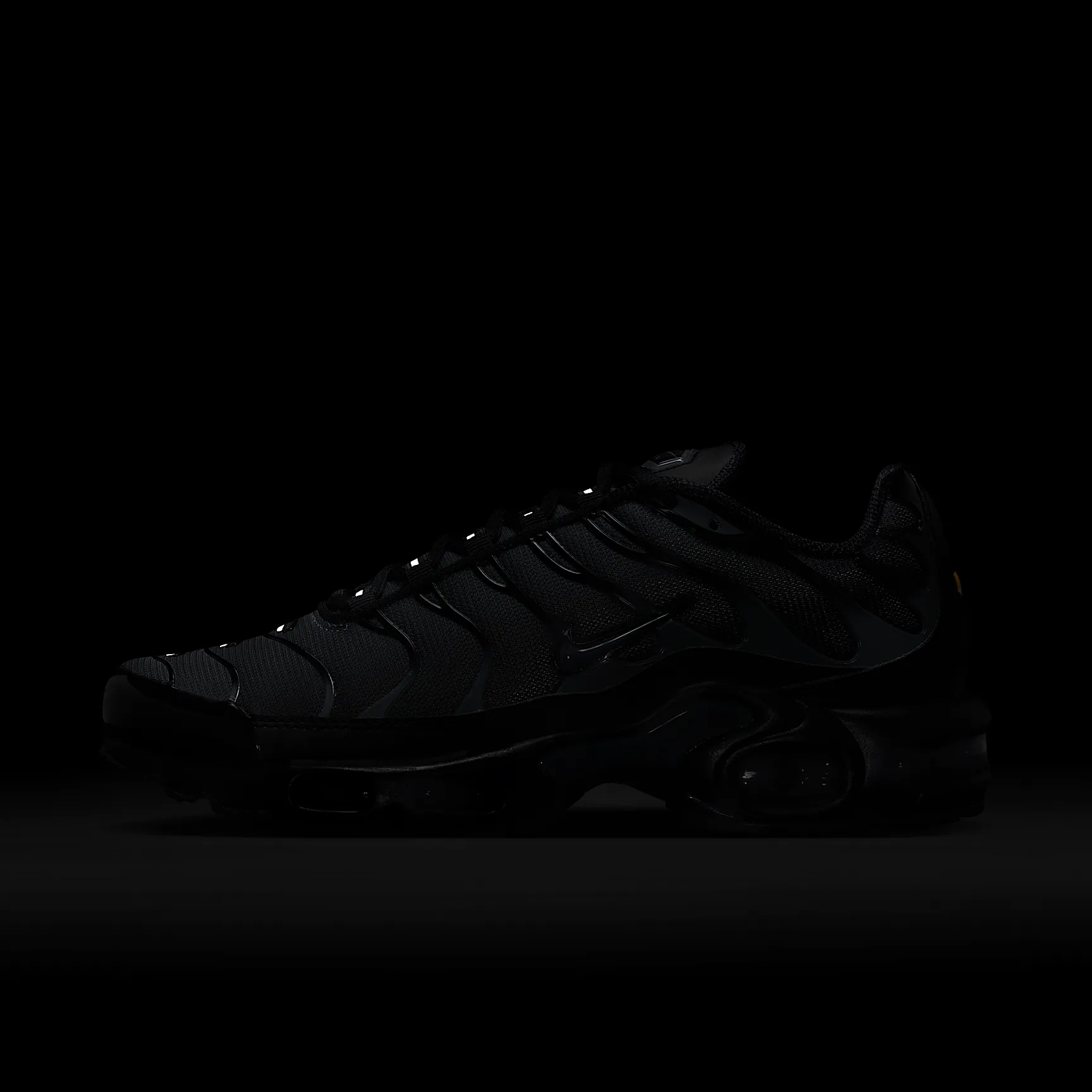000000_Nike-Air-Max-Plus-WMNS_BLACK-METALLIC_IM6019-010_img8