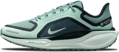image de Nike Pegasus 41 Gore Tex Wmns Cannon Barely Green Fq1357 003
