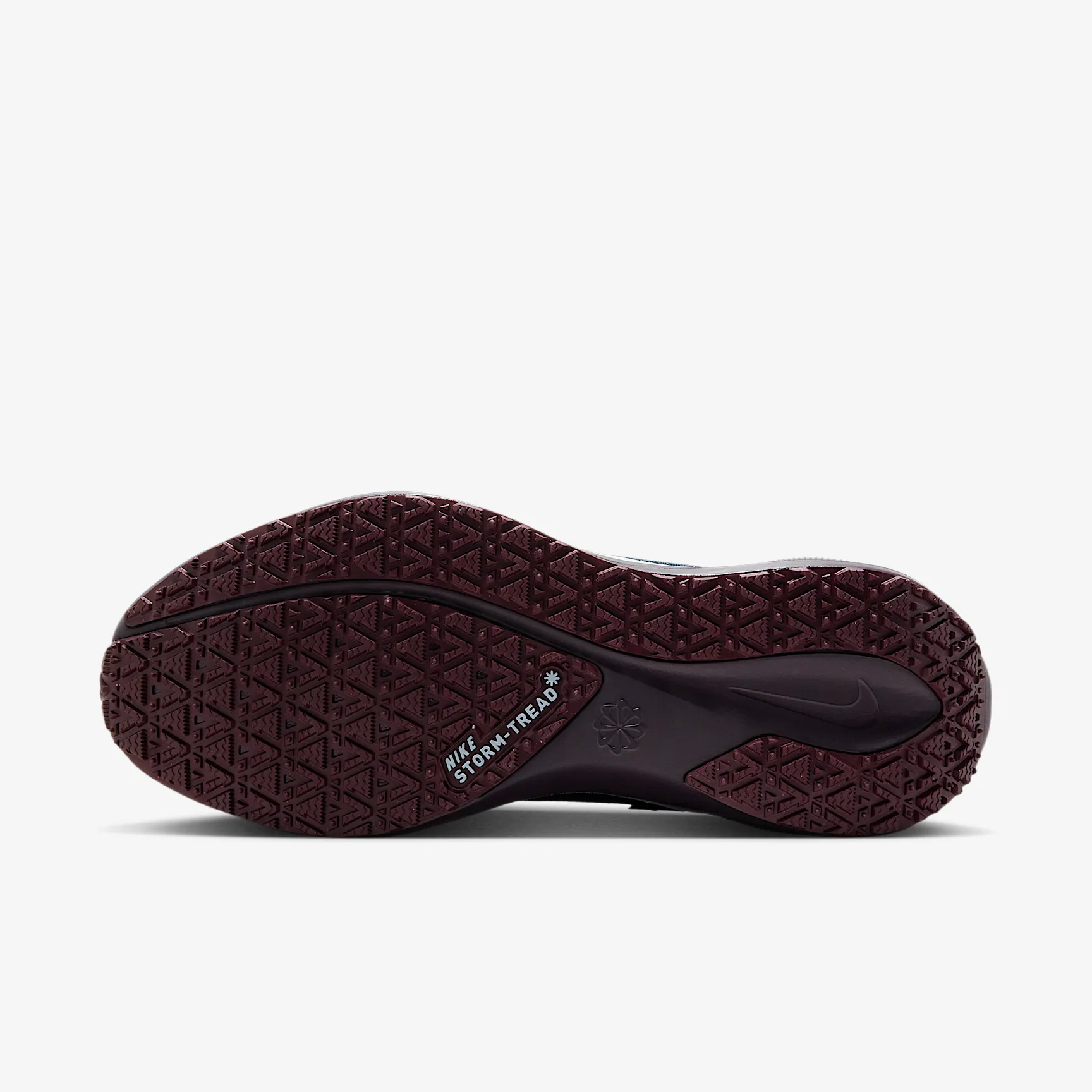 262C32_Nike-Pegasus-41-Gore-Tex-WMNS_DARK-OBSIDIAN_FQ1357-401_img1