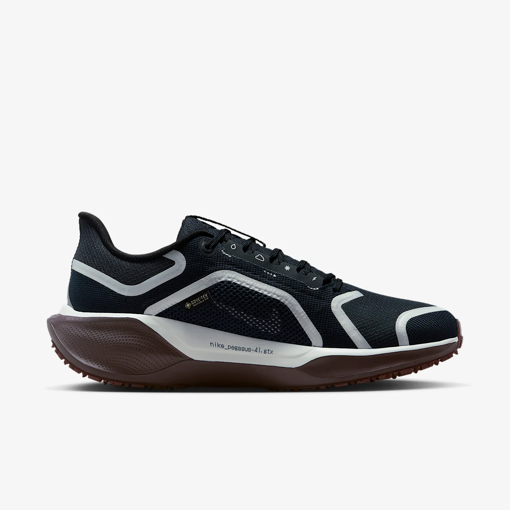 262C32_Nike-Pegasus-41-Gore-Tex-WMNS_DARK-OBSIDIAN_FQ1357-401_img2