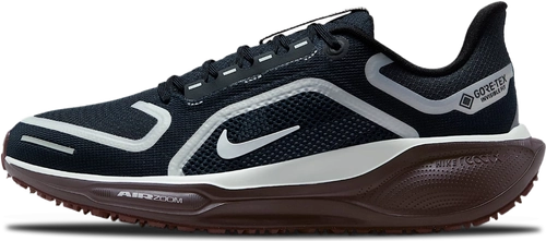 image de Nike Pegasus 41 Gore Tex Wmns Dark Obsidian Fq1357 401