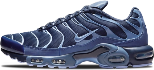 Nike Air Max Plus Obsidian Aluminum Im6601 451