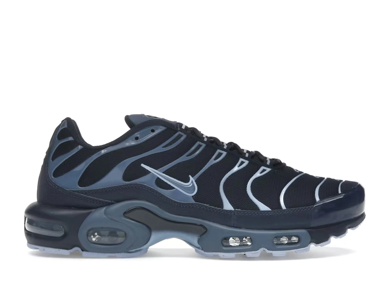 Nike Air Max Plus OBSIDIAN ALUMINUM - view 0