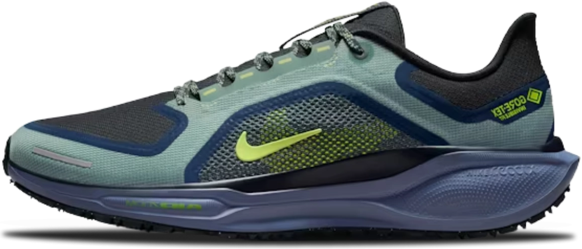Nike Air Zoom Pegasus 41 Gore-Tex SEAWEED CANNON