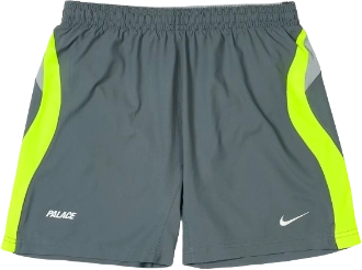 Image de Palace Nike Total P90 Short Grey