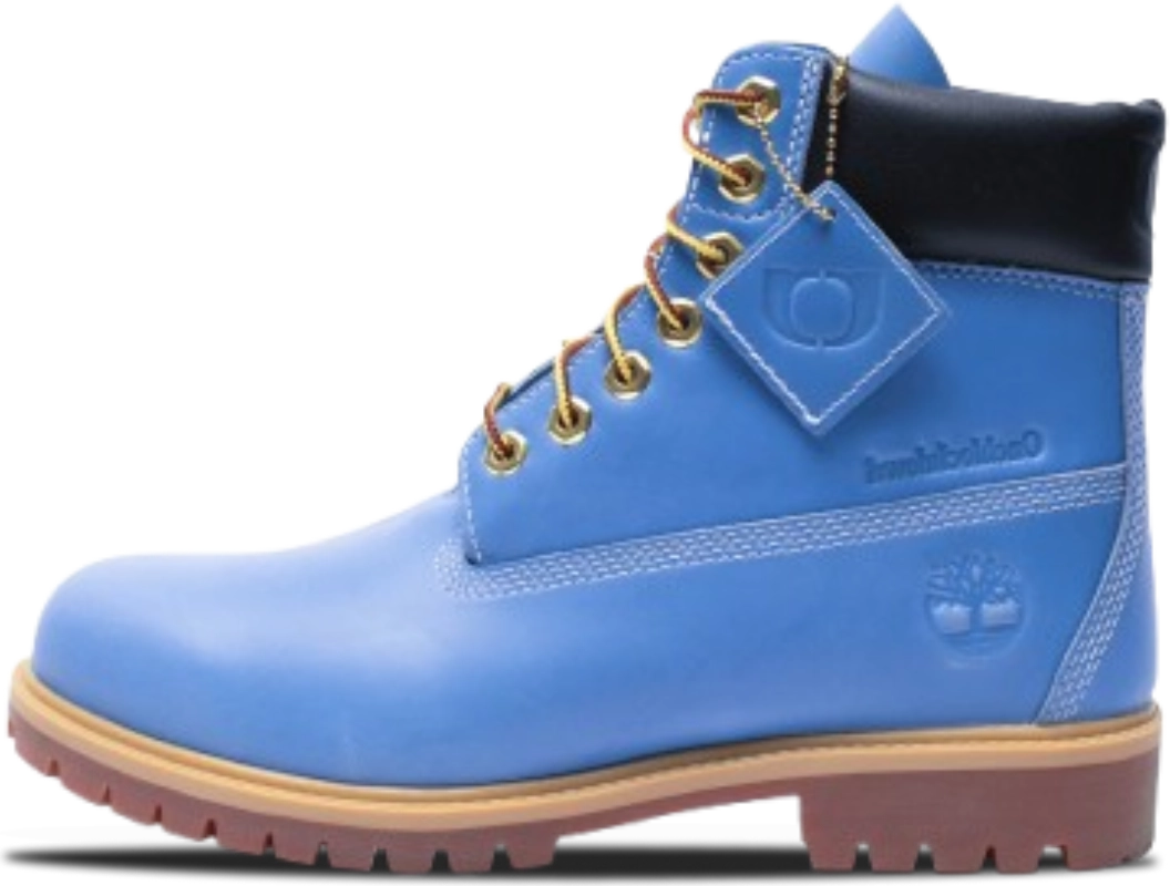 One Block Down x Timberland 6-Inch Premium Waterproof Boot SKY