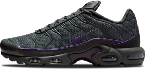 Nike Air Max Plus Og Iron Grey Wild Grape Hv8066 001
