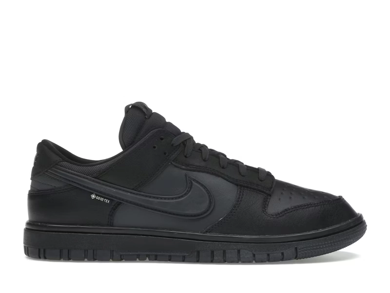 Nike Dunk Low Gore-Tex TRIPLE BLACK - view 0