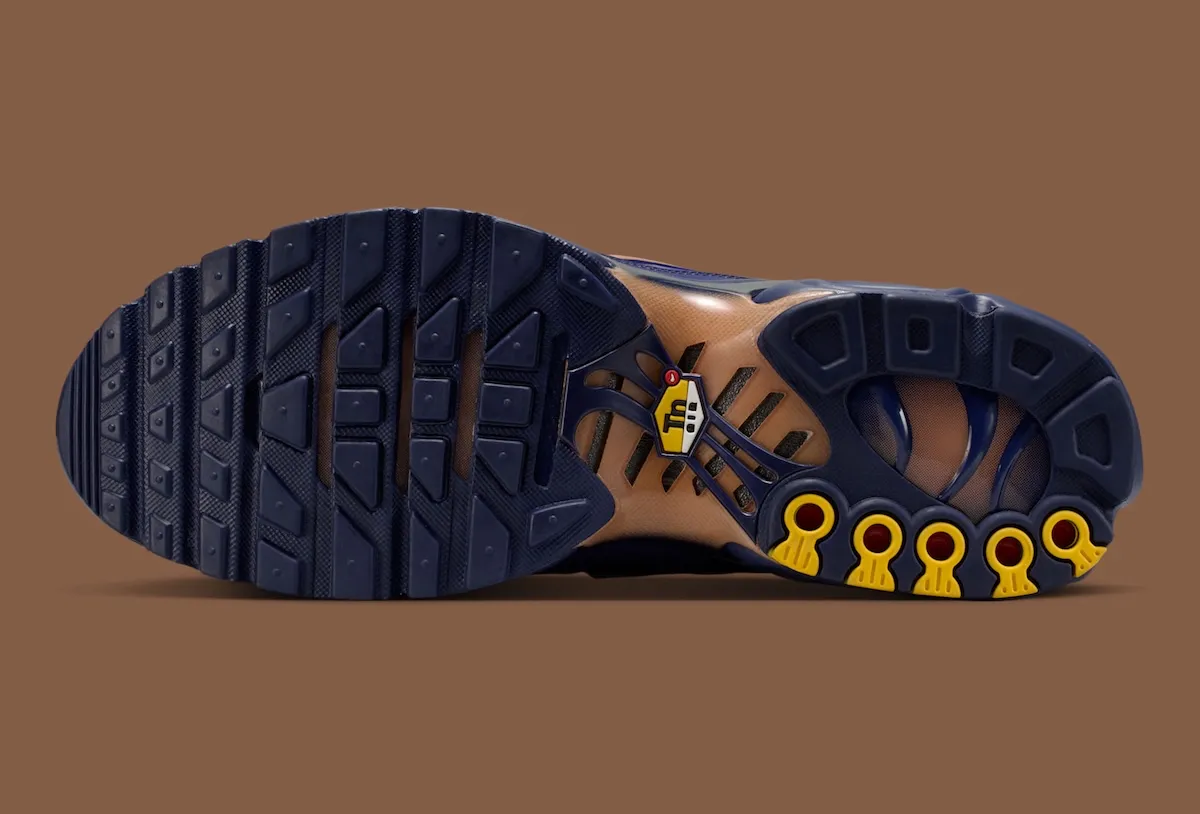 000000_Nike-Air-Max-Plus-French-Football-Federation_BLACKENED-BLUE-GAME-ROYAL-METALLIC-COPPER_IQ0170-400_img5