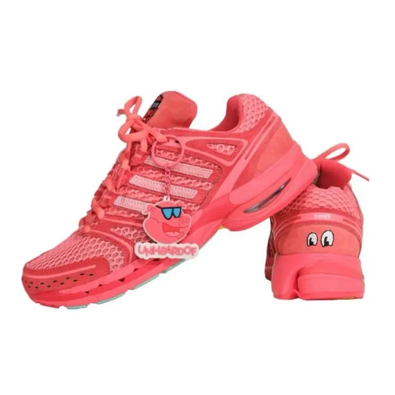 000000_UNheardof-x-adidas-Adistar-Control-5_Piggy-Runner-2.0-Steve-O_KJ8363_img3