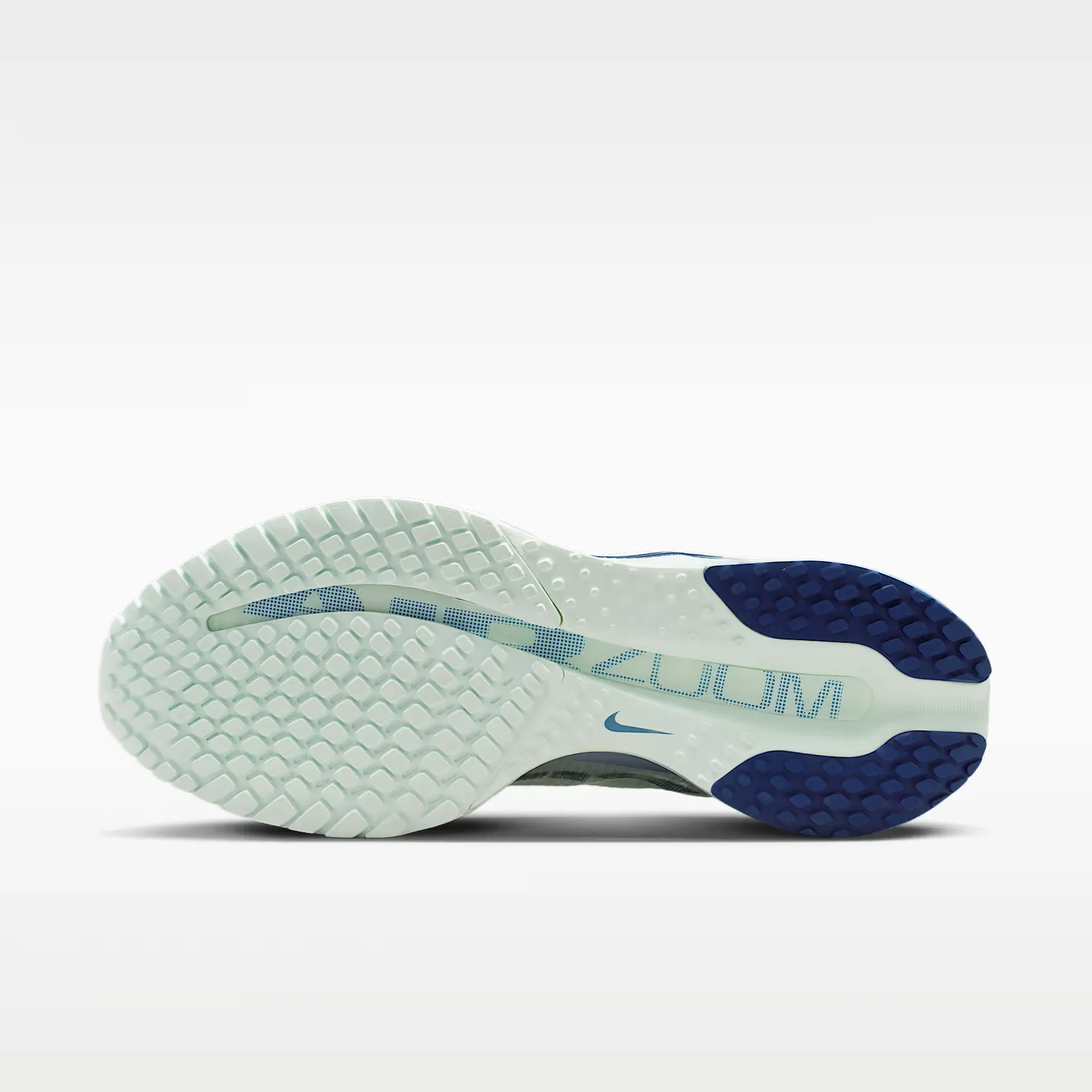 000000_Nike-Pegasus-Premium-WMNS_Barely-Green-Work-Blue_HQ2593-301_img1