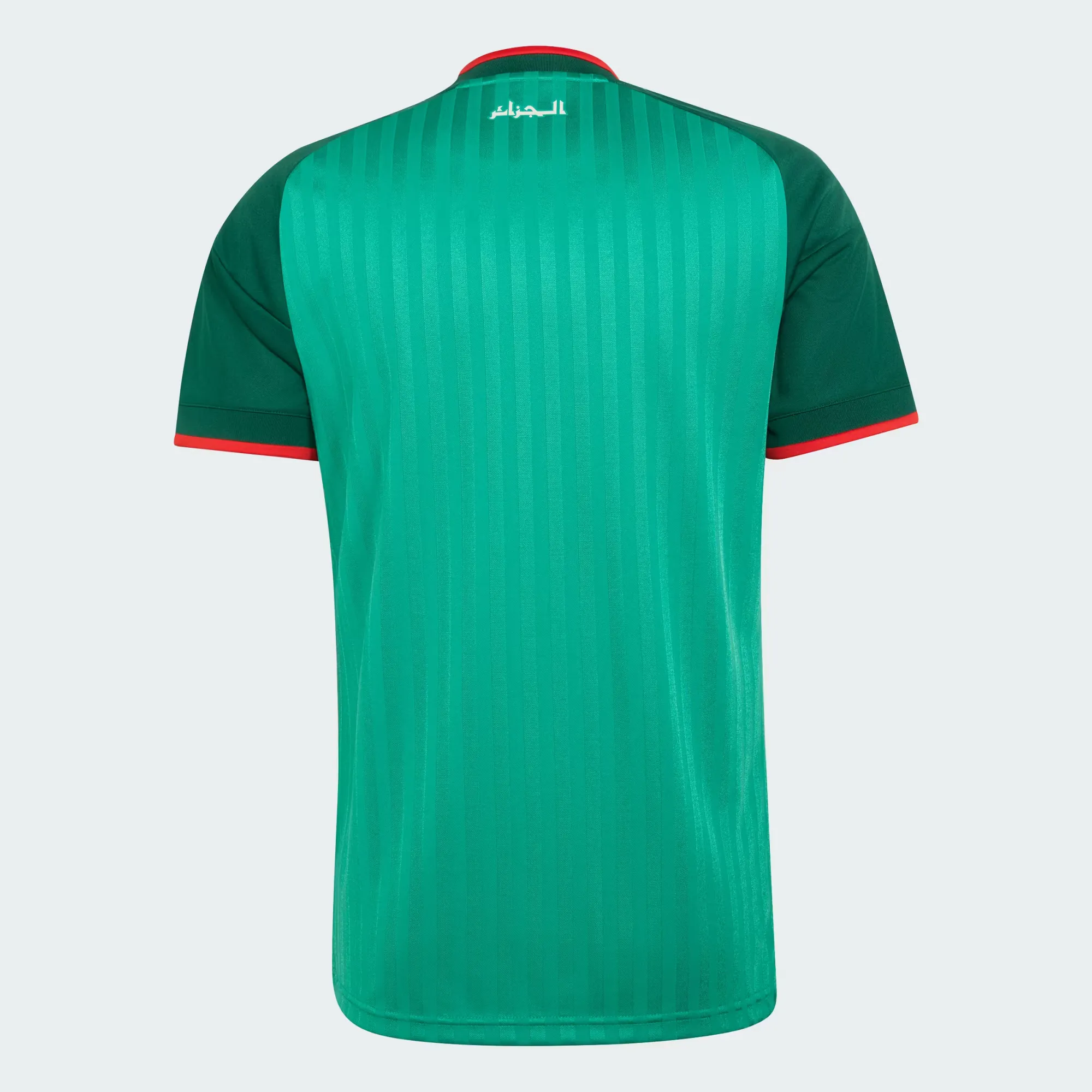000000_adidas-Algeria-26-Away-Jersey_Court-Green_JN4456_img4