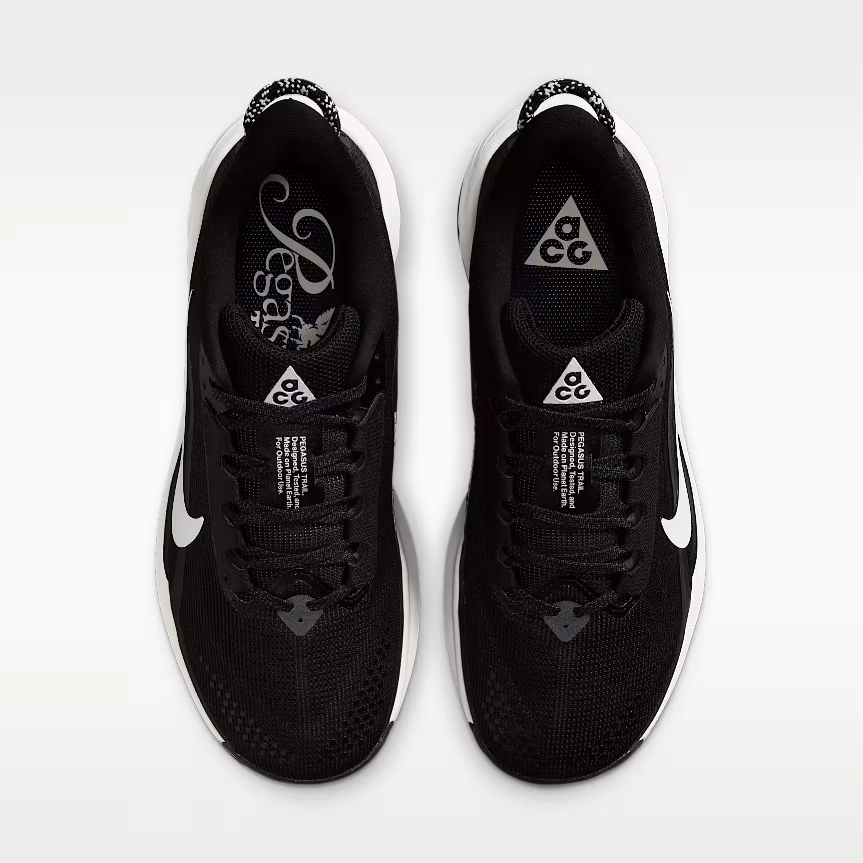 000000_Nike-ACG-Pegasus-Trail-WMNS_Black-Anthracite_HV8121-001_img3