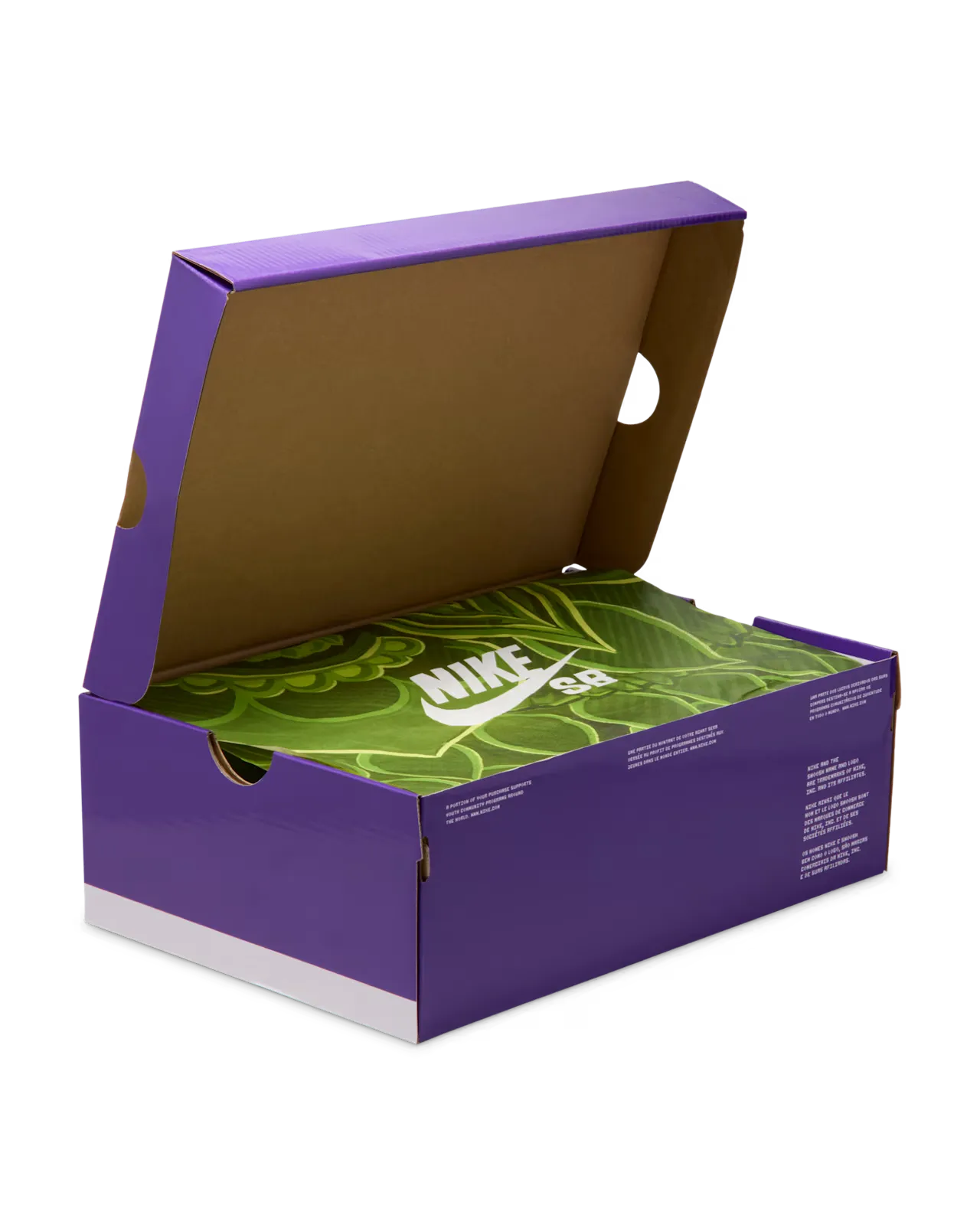 000000_Nike-SB-Dunk-Low_Som-Tum_IB6206-701_img8